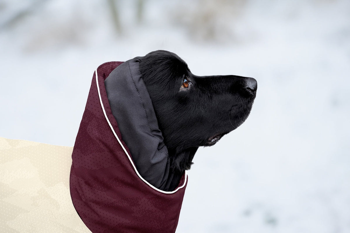 ArcticPomppa 2026/2027