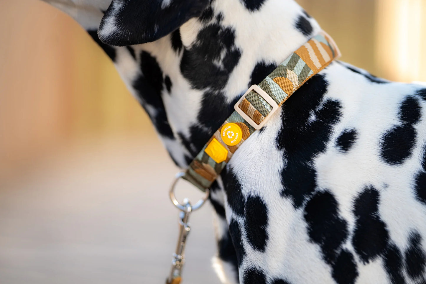 Cloudbeam Hundehalsband