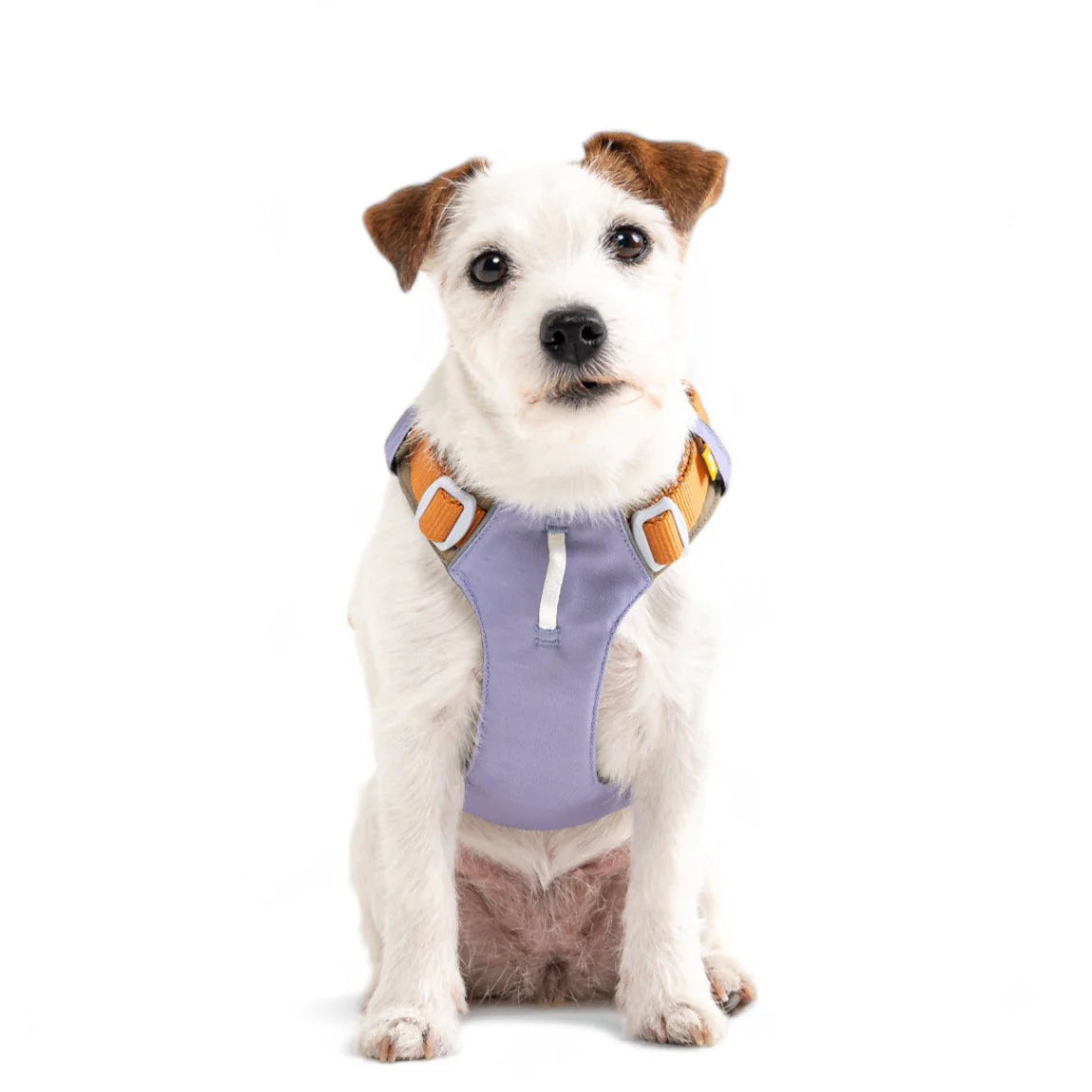 Alpha 360 Hundegeschirr Lavendel Mix