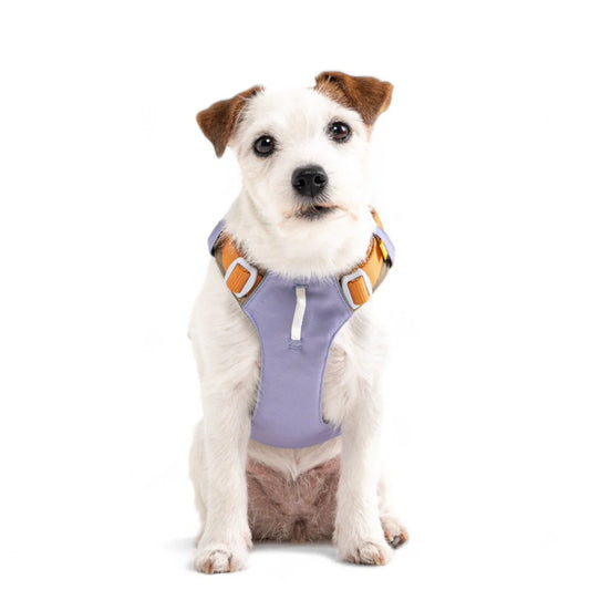 Alpha 360 Hundegeschirr Lavendel Mix
