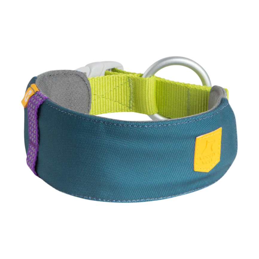 Alpha 360 Hundehalsband Deep Teal