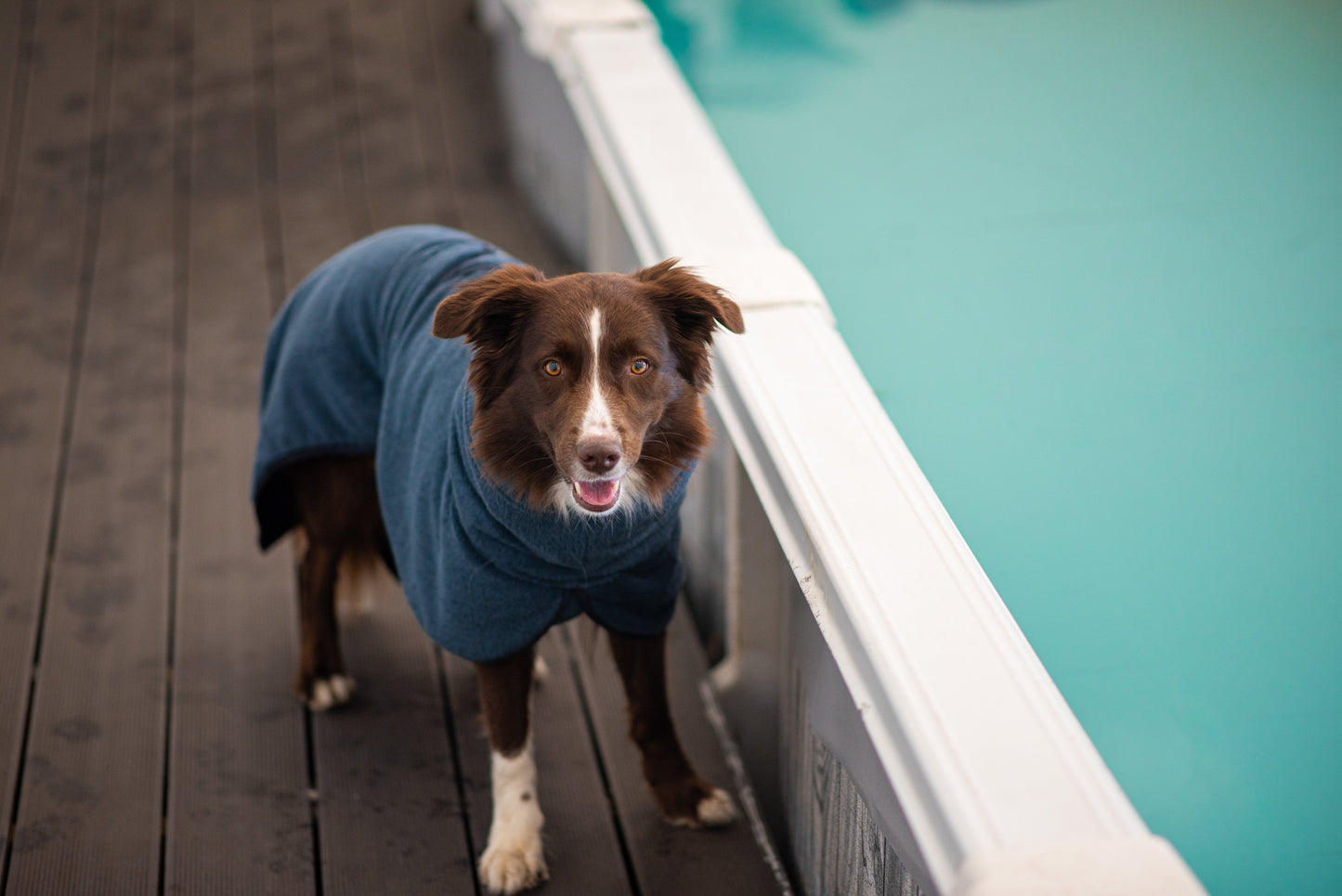 BathPomppa - the dog bathrobe
