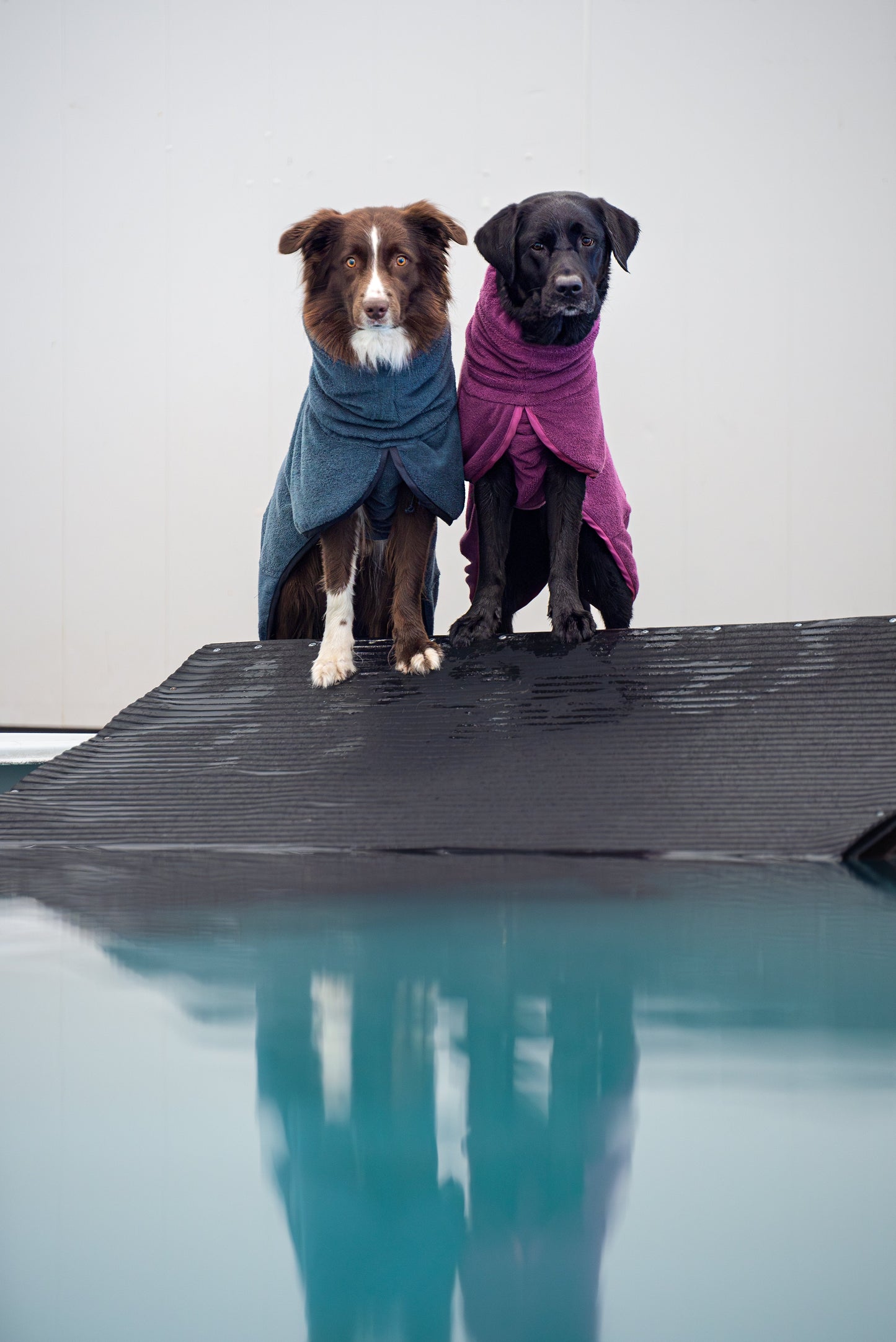 BathPomppa - the dog bathrobe