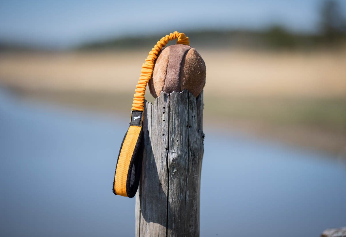BungeeChewie Ball – Umweltfreundliches Hundespielzeug mit Bungee-Griff