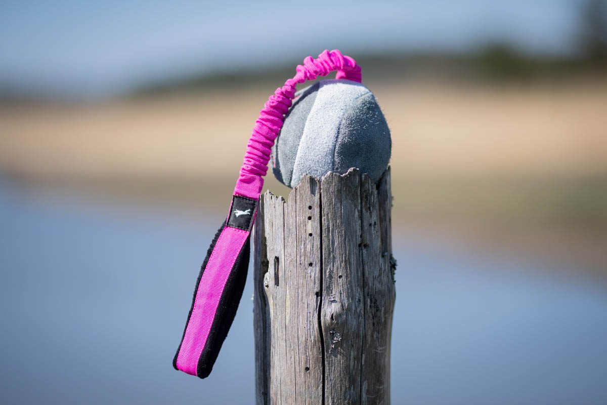 BungeeChewie Ball – Umweltfreundliches Hundespielzeug mit Bungee-Griff