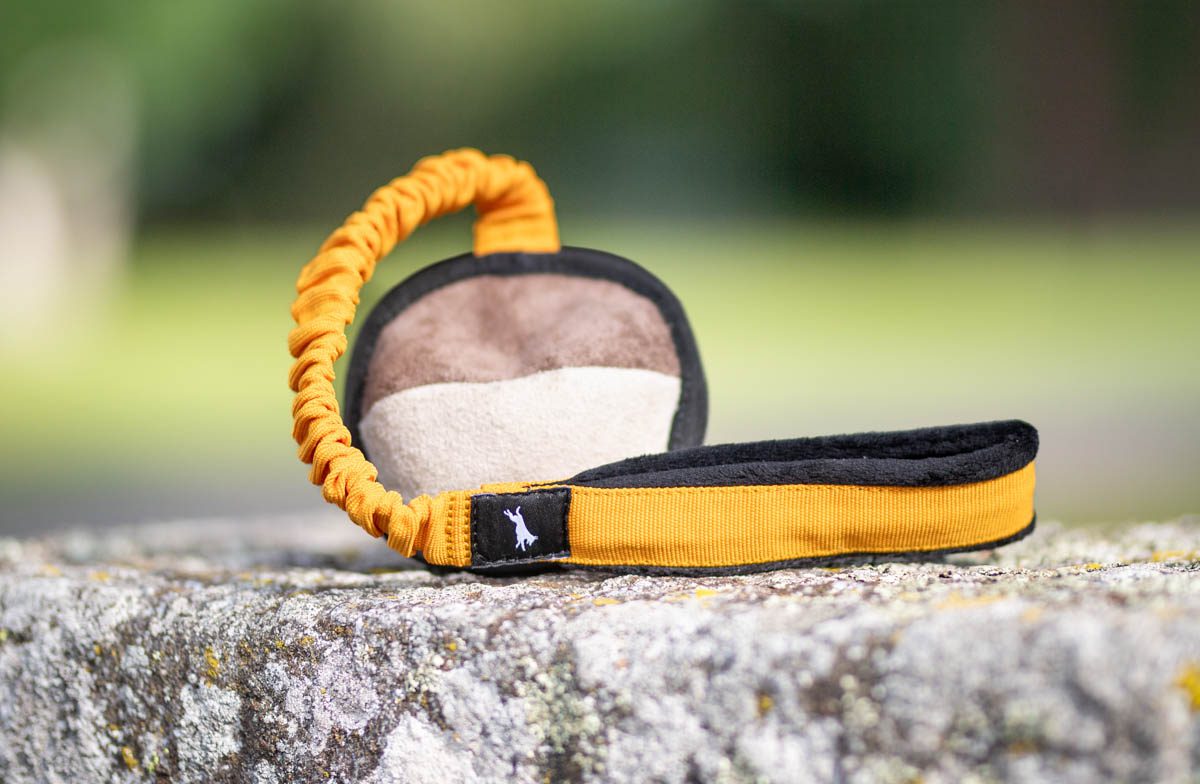 BungeeSweetie Ball – Hundetrainingsspielzeug mit Bungee-Griff und Leckerlitasche