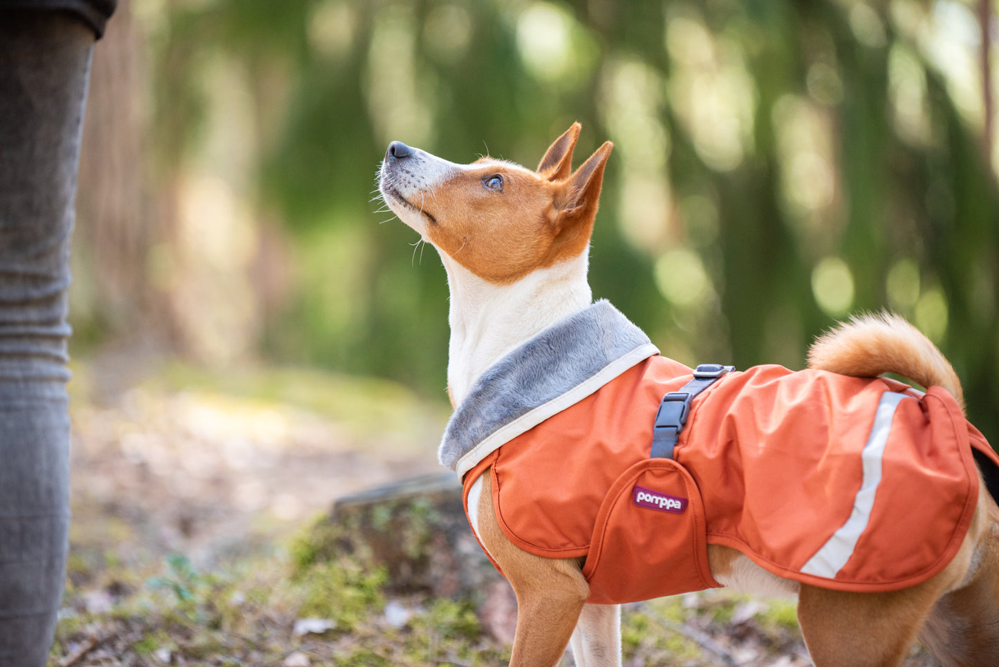 KevytPomppa - Lined Raincoat with Harness Opening