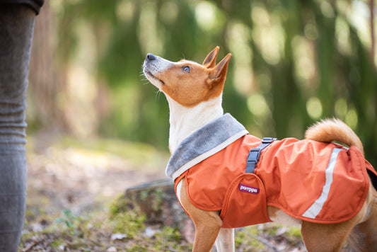 KevytPomppa - Lined Raincoat with Harness Opening 2026/2027