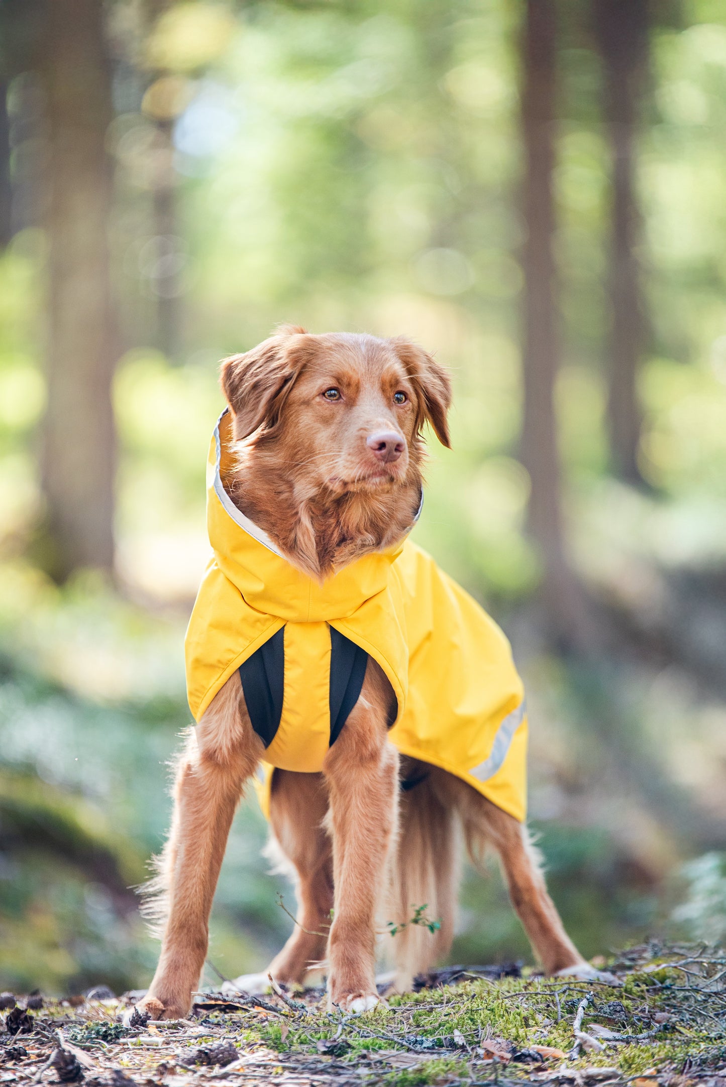 KuoriPomppa - Lightweight Raincoat
