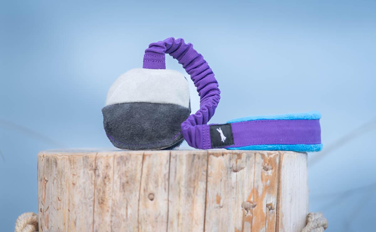 Mini-Ball mit Bungee-Seil