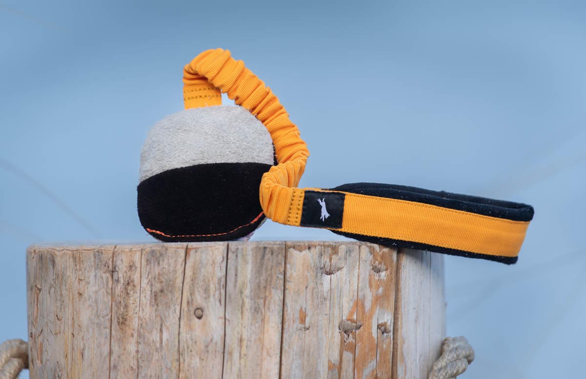 Mini-Ball mit Bungee-Seil