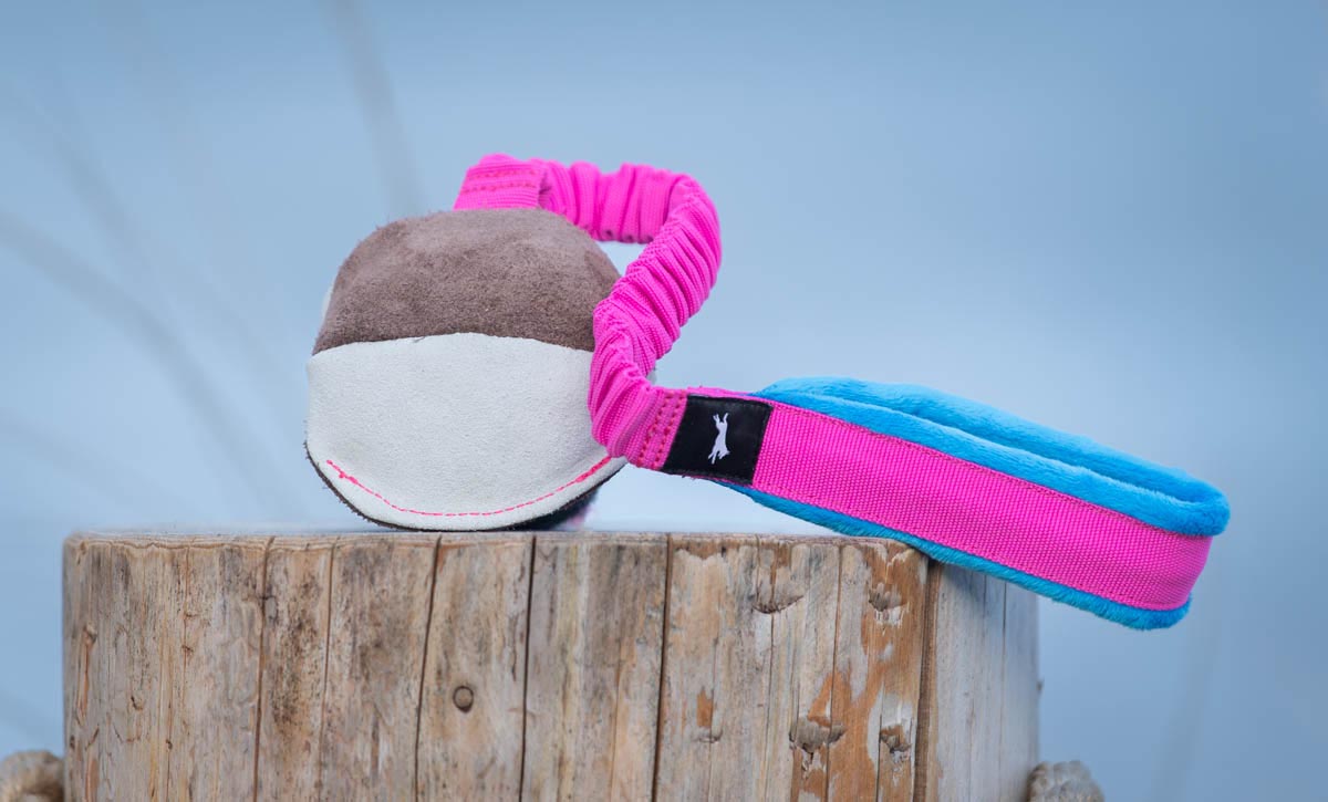 Mini-Ball mit Bungee-Seil