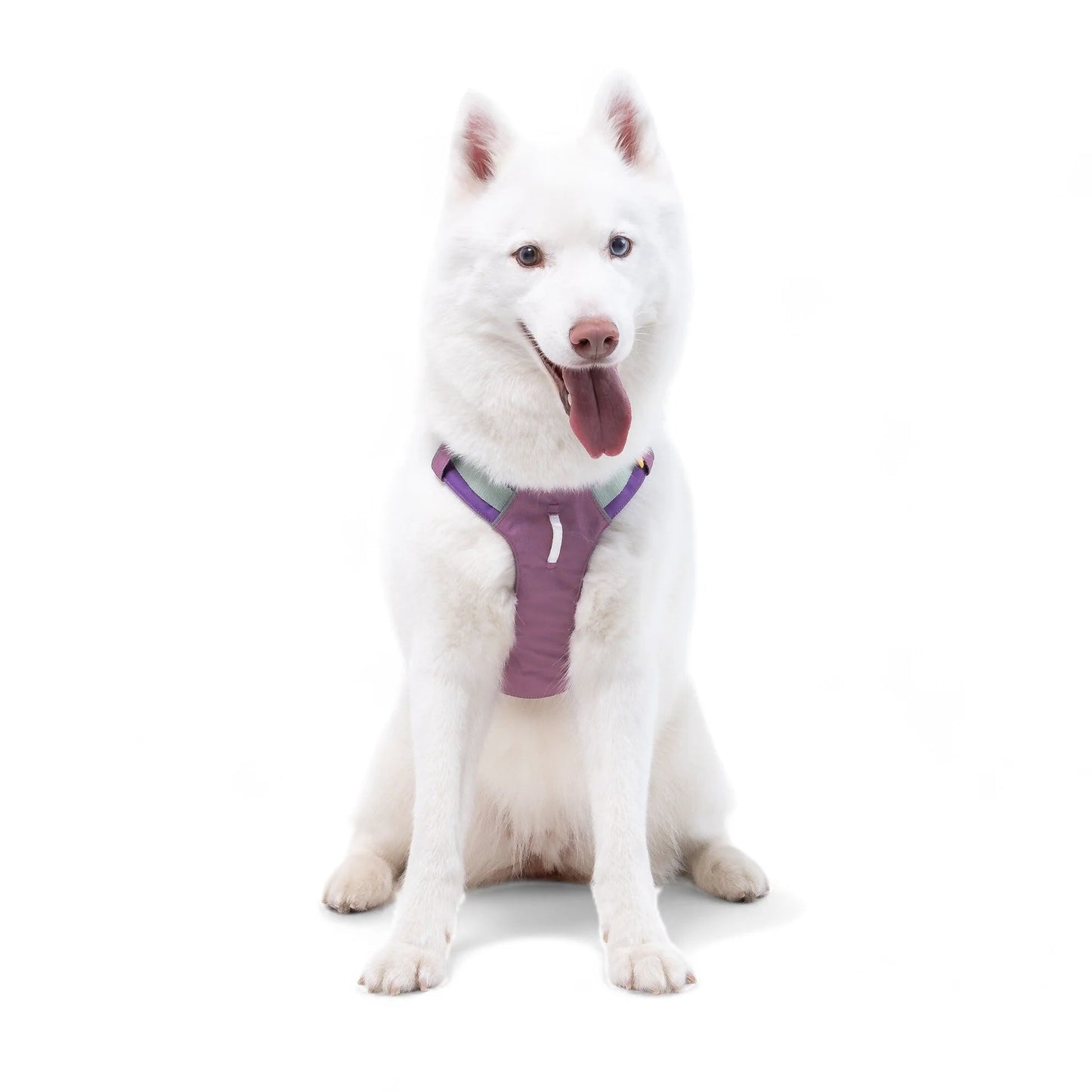 Alpha 360 Hundegeschirr Mauve Mix