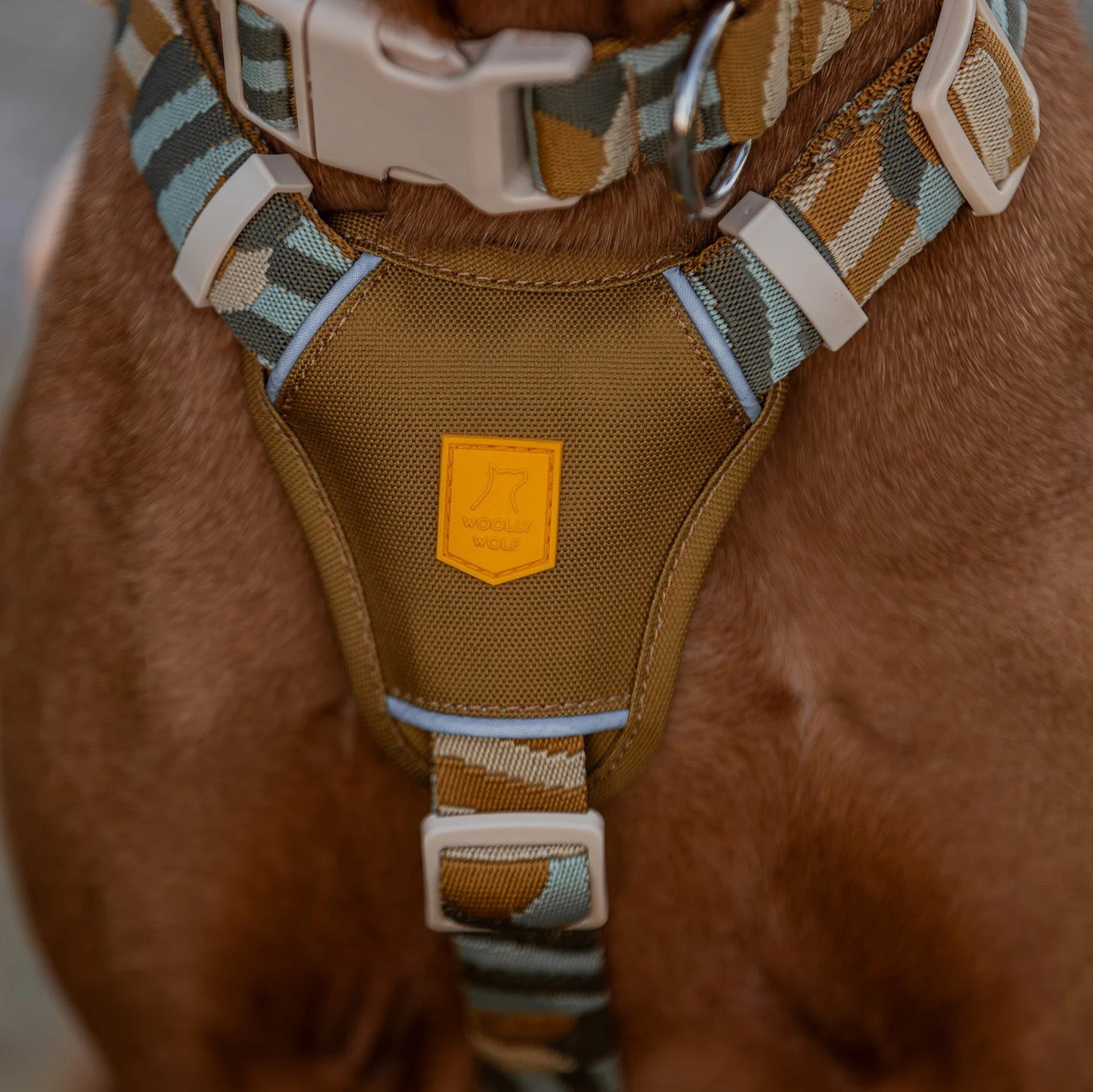 Cloudbeam Hundegeschirr