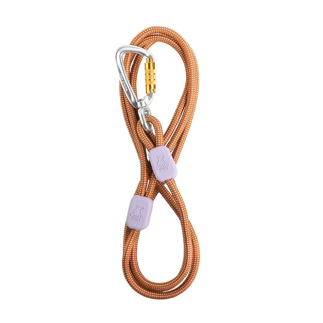 Dünne Seilleine für Hunde